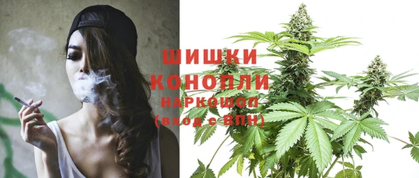 винт Бронницы