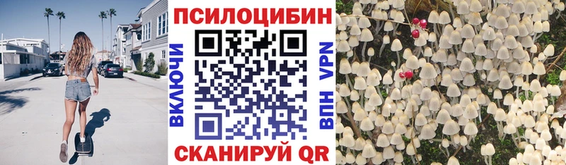 Псилоцибиновые грибы прущие грибы  Набережные Челны 